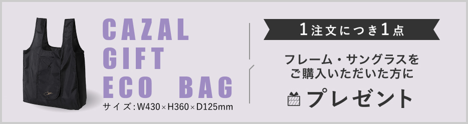 CAZALGIFTSACOCHE